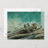 3 grappige otters op een mooie achtergrond van kle briefkaart (Voorkant / Achterkant)