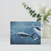 3 Grote witte haaien (Carcharodon carcharias) Briefkaart (Staand voorkant)