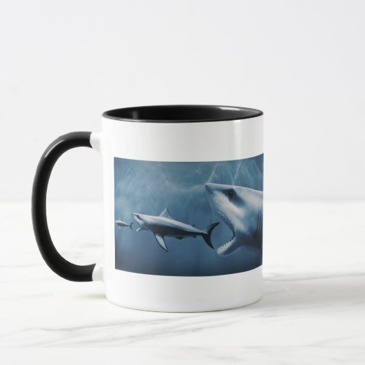 3 Grote witte haaien (Carcharodon carcharias) Mok (Links)
