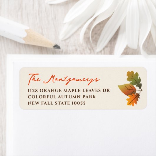 3 Het kleurrijke Adres van de Terugkeer van de Ter Etiket (Insitu)