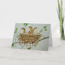 3 het Lege Wenskaart van de Vogels van het baby Kaart