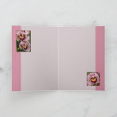 3 het roze Bloeien van Dames Kaart (Binnen)