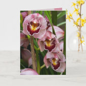 3 het roze Bloeien van Dames Kaart (Gele Bloem)