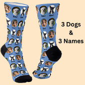3 Honden, 3 Namen, Dog Foto - Speciaal Blauw Sokken