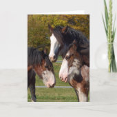 3 hoofden Clydesdale Kaart (Voorkant)