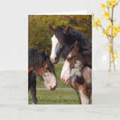 3 hoofden Clydesdale Kaart (Gele Bloem)