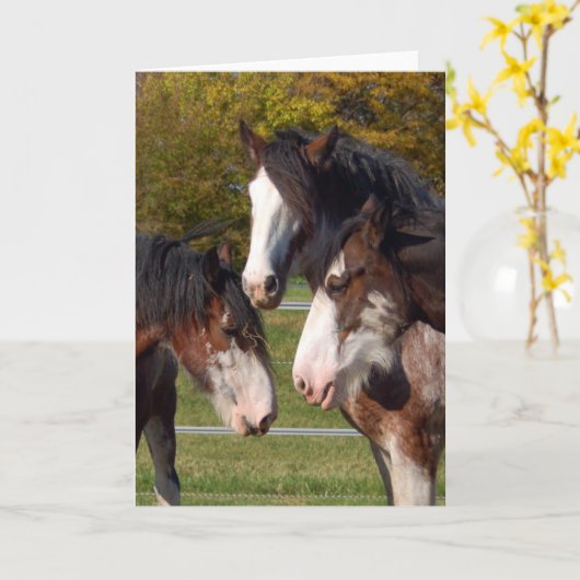 3 hoofden Clydesdale Kaart (Gele Bloem)