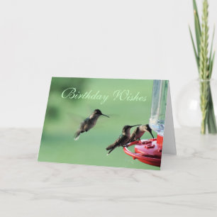 3 Hummingvogels in de fokker - pas elke gelegenhei Kaart