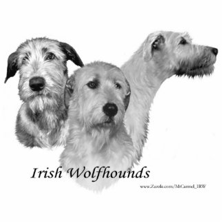 3 Ierse Wolfhound-koppen Fotobeeldje Magneet