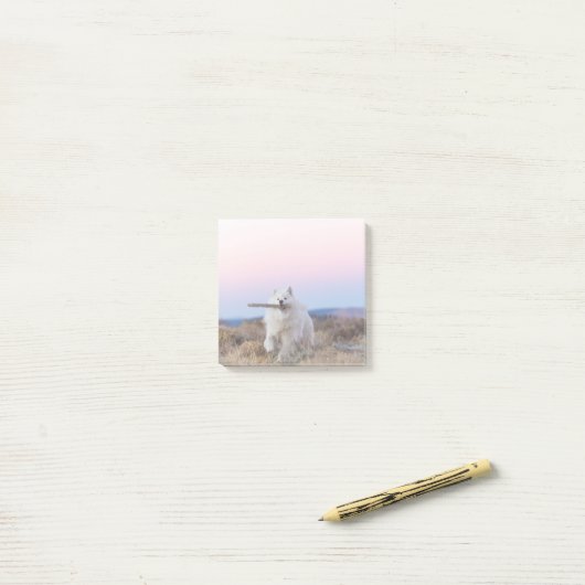 3-inch x3-inch Post-it notities - Branch Manager Post-it® Notes (Op bureau)