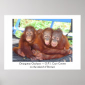 3 is geen kroeg - Orangutan Babies Poster (Voorkant)
