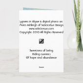 3 jonge zwanen in Algen Kaart (Achterkant)