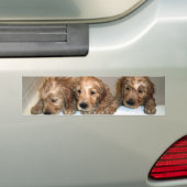 3 jongens op de Bumpersticker (Op auto)