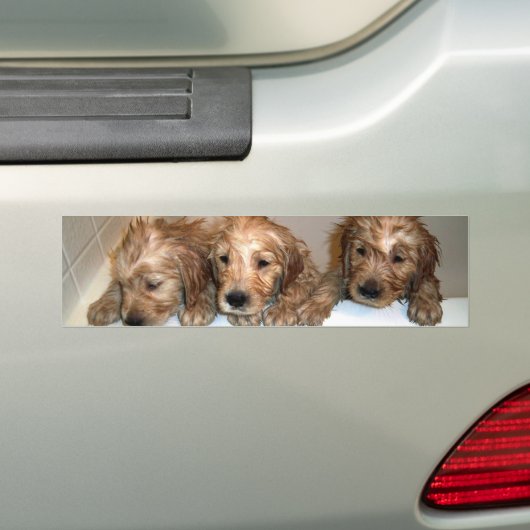 3 jongens op de Bumpersticker (Op auto)