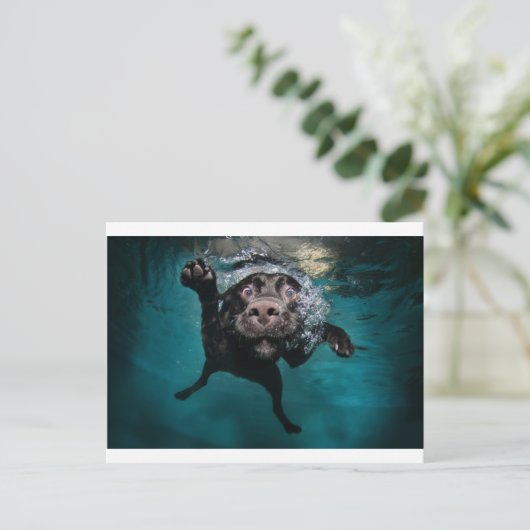 3.jpeg briefkaart (Staand voorkant)