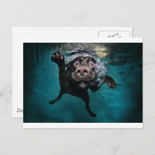 3.jpeg briefkaart (Voorkant / Achterkant)