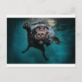 3.jpeg briefkaart (Voorkant)