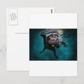 3.jpeg briefkaart (Voorkant / Achterkant)