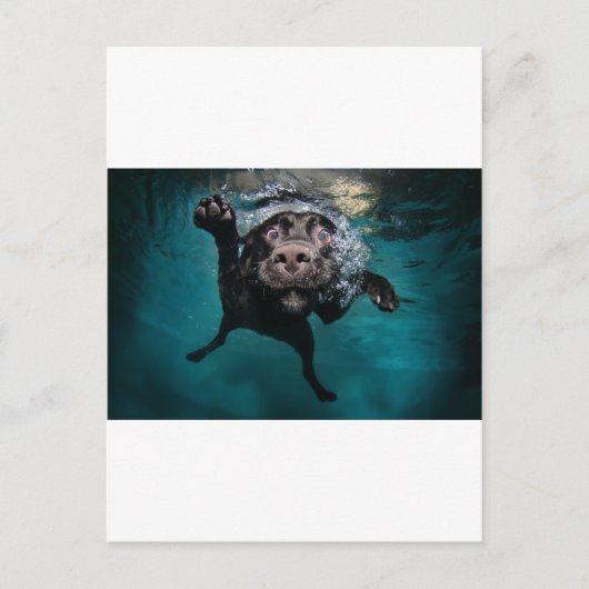 3.jpeg briefkaart (Voorkant)