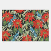 3 Kardinaal Jay Winter Bird Ephemera Sheets Inpakpapier Vel (Voorkant 2)