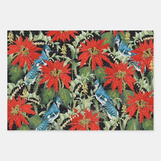 3 Kardinaal Jay Winter Bird Ephemera Sheets Inpakpapier Vel (Voorkant 2)