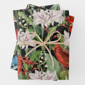 3 Kardinaal Jay Winter Bird Ephemera Sheets Inpakpapier Vel (In situ)