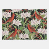 3 Kardinaal Jay Winter Bird Ephemera Sheets Inpakpapier Vel (Voorkant)