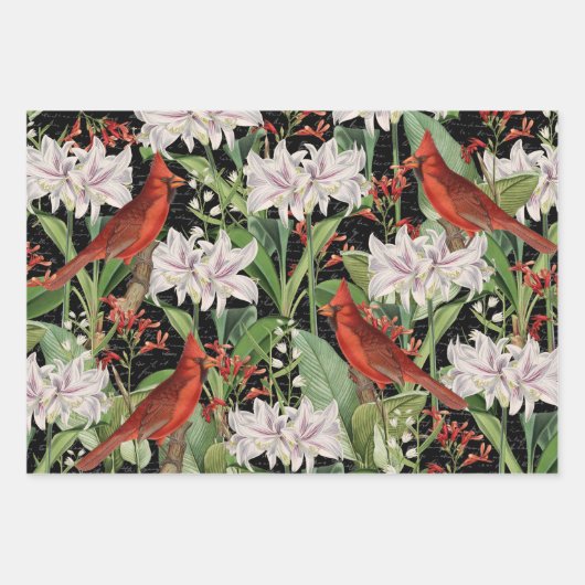 3 Kardinaal Jay Winter Bird Ephemera Sheets Inpakpapier Vel (Voorkant)