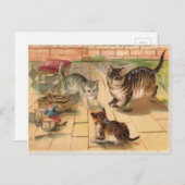 3 Katten die spelen met speelgoed Briefkaart van (Voorkant / Achterkant)