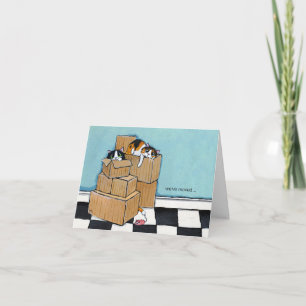 3 Katten en dozen   We hebben de briefkaart verpla