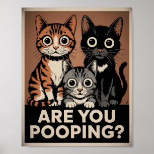 3 katten en een vraag Ben je aan het poepen? Grapp Poster
