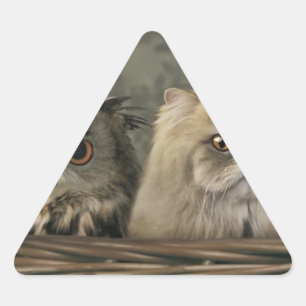3 Katten en kippen in een mandje Sticker