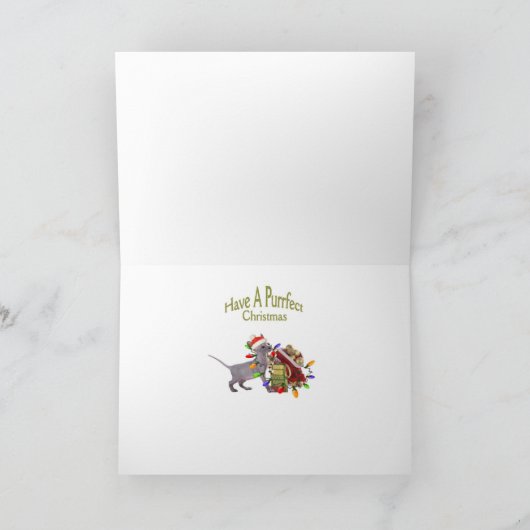 3 katten en pug kaarten (Binnen)