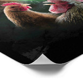 3 Kip Maan Wolf Kippen Huilende Wolven Poster (Hoek)