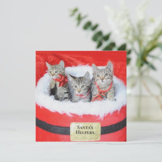 3 Kleine helikopters van de Kittens Santa (Staand voorkant)