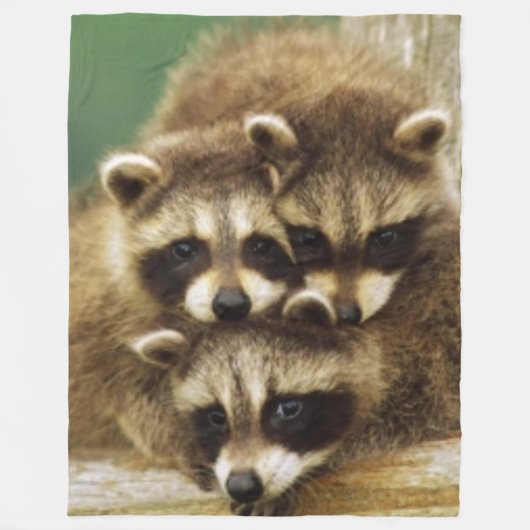 3 KLEINE RACCOONS FLEECE DEKEN (Voorkant)
