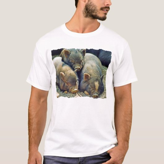 3 Kleine varkens T-shirt (Voorkant)