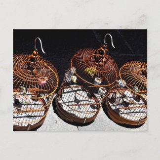 3 Kleine vogels in China Briefkaart