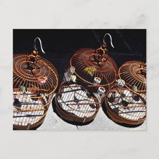 3 Kleine vogels in China Briefkaart (Voorkant)