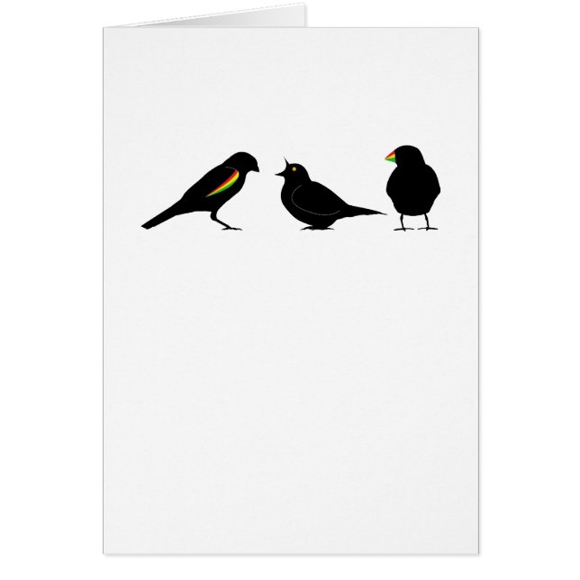 3 kleine vogeltjes per erndub (Voorkant)