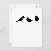 3 kleine vogeltjes per erndub briefkaart (Voorkant / Achterkant)
