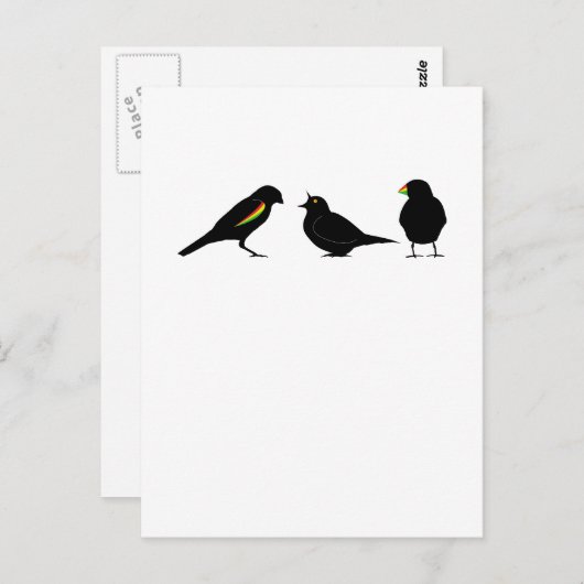 3 kleine vogeltjes per erndub briefkaart (Voorkant / Achterkant)
