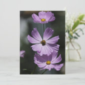 3 Kosmos - Vlak Wenskaart Kaart (Staand voorkant)