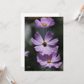 3 Kosmos - Vlak Wenskaart Kaart (Voorkant / Achterkant in situ)