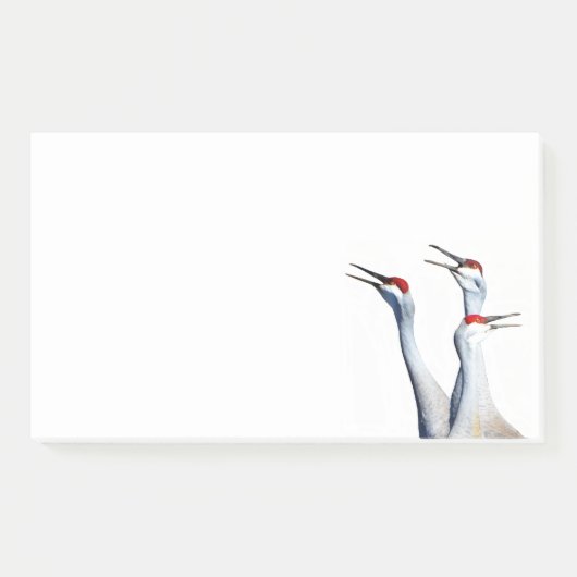 3 Kraanvogels Foto 10x6 Notities Post-it® Notes (Voorkant)
