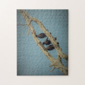 3 Krokoen Legpuzzel (Verticaal)