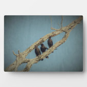 3 Kroonplak Fotoplaat (voorkant)