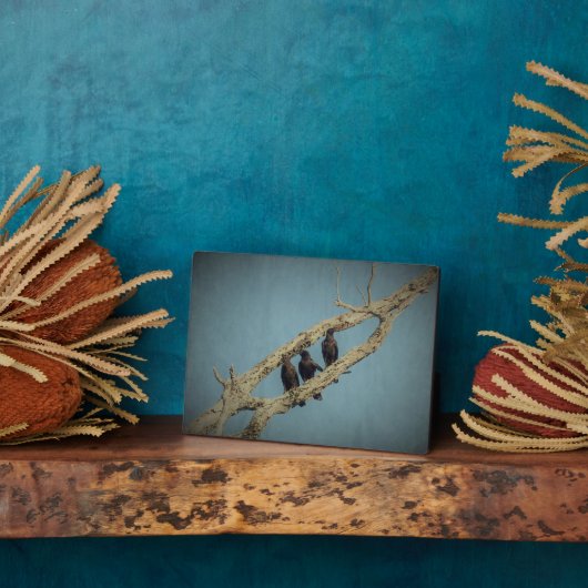 3 Kroonplak Fotoplaat (Zijkant)