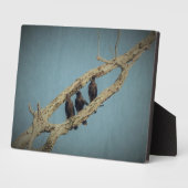 3 Kroonplak Fotoplaat (Zijkant)