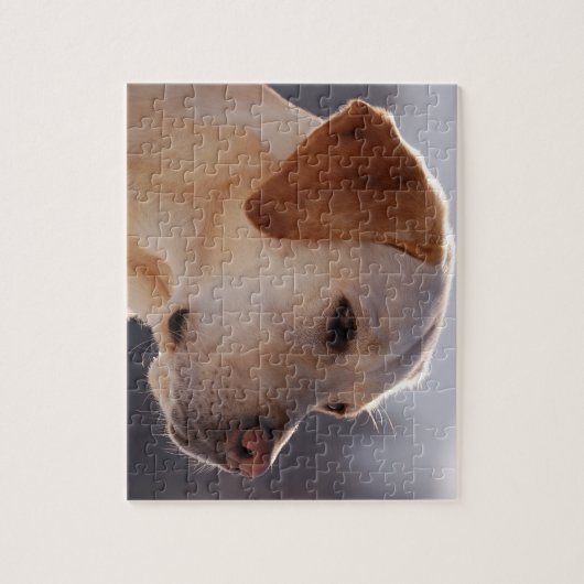 3 Labrador_Retriever.png Legpuzzel (Verticaal)